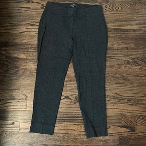 The Limited Size 12 Stretch Slacks in Gray with Seam Front